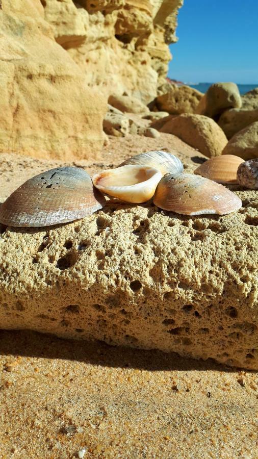 Olhos Do Mar Albufeira Lägenhet Exteriör bild